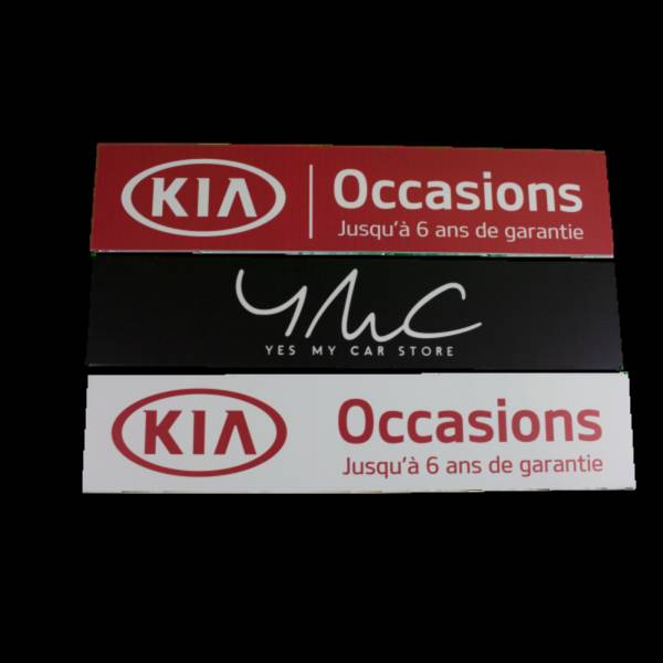 cache plaque d'immatriculation à nice