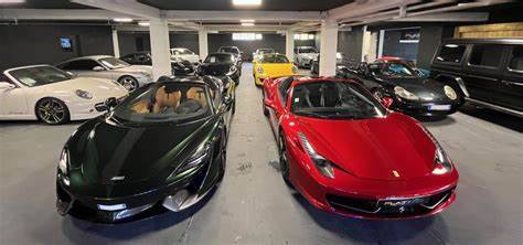 cache plaque d'immatriculation à mougins